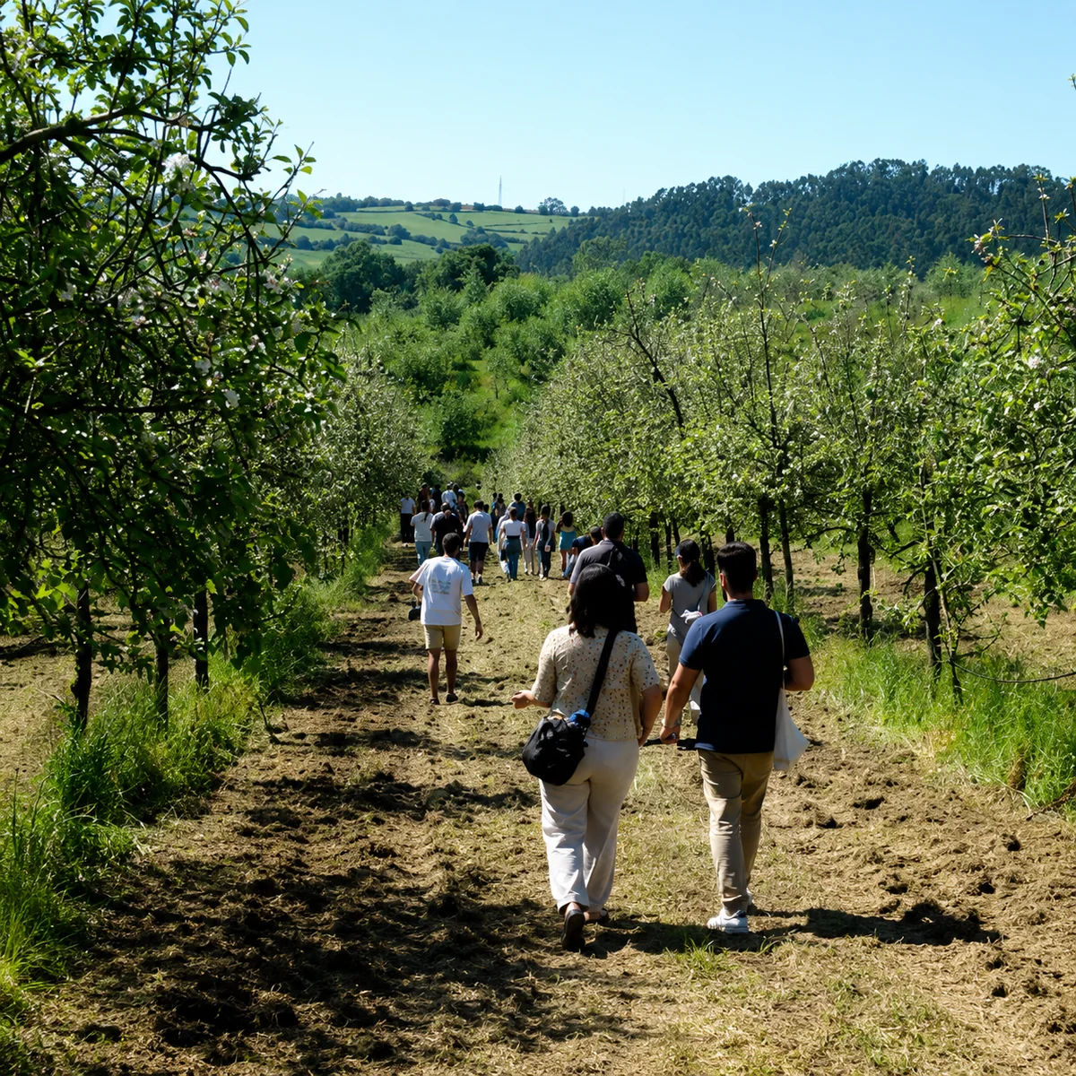Visitors walking through the apple orchard at Finca El Gallinal